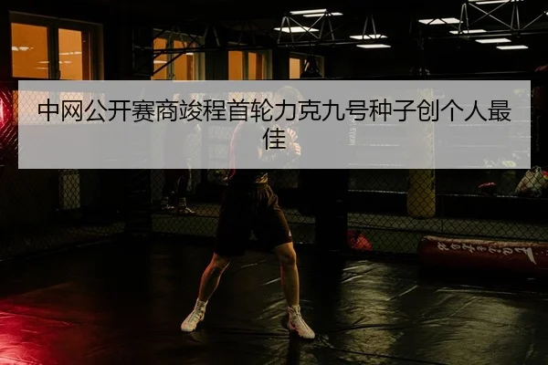 zhong-wang-gong-kai-sai-shang-jun-cheng-shou-lun-li-ke-jiu-hao-zhong-zi-chuang-ge-ren-zui-jia-2-108.jpg
